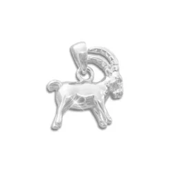 Anhänger Für Kinder|Anhänger Für Damen|Elfen Schmuck Sternzeichen Anhänger Steinbock 925 Silber